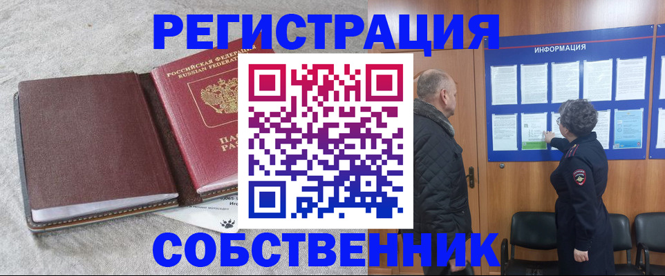 временная регистрация надежно в Волосово